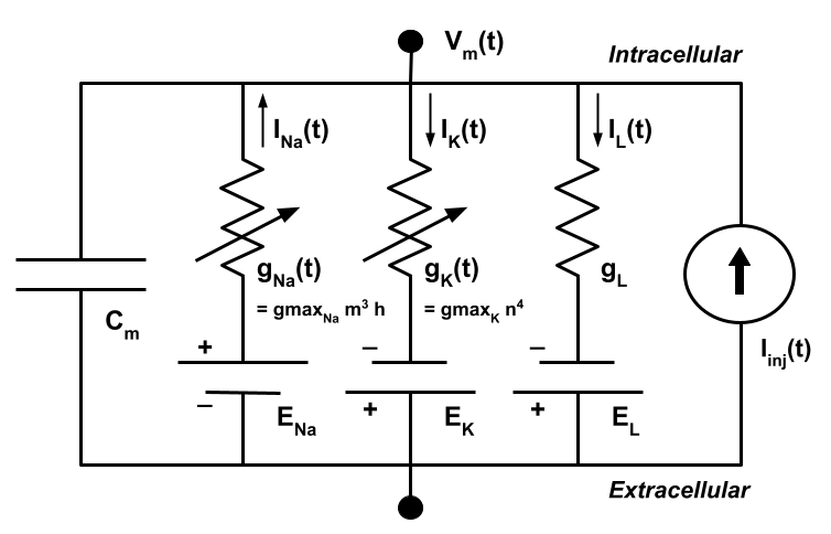 ../_images/equivalentCircuit.png